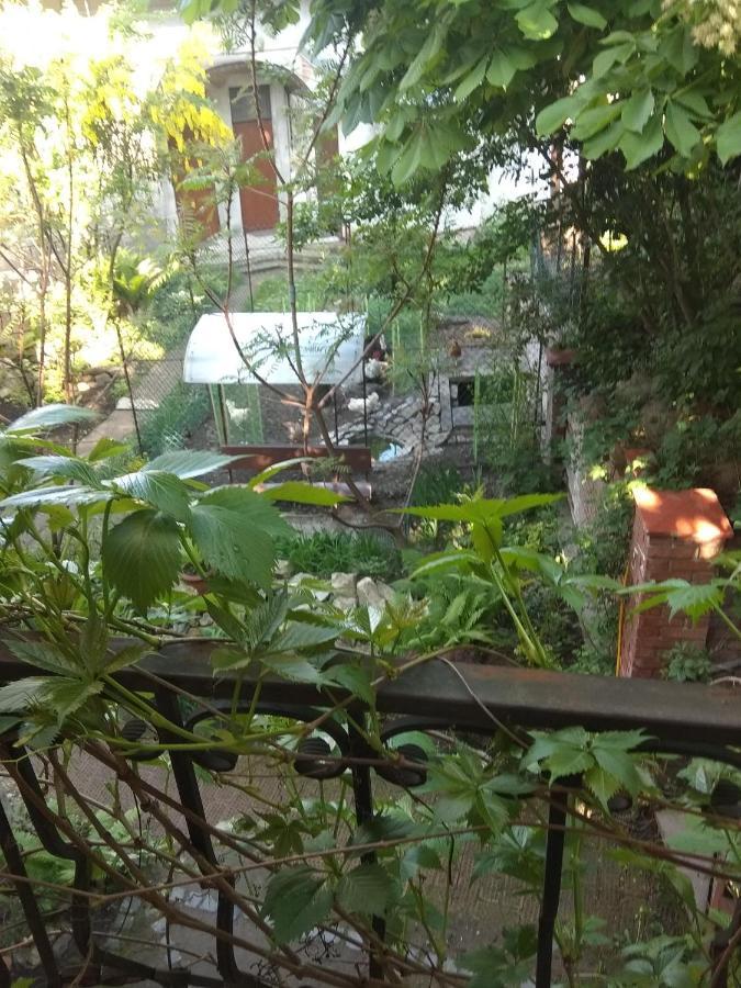 Mangal And Terrace In Center Apartment Lviv Exterior photo